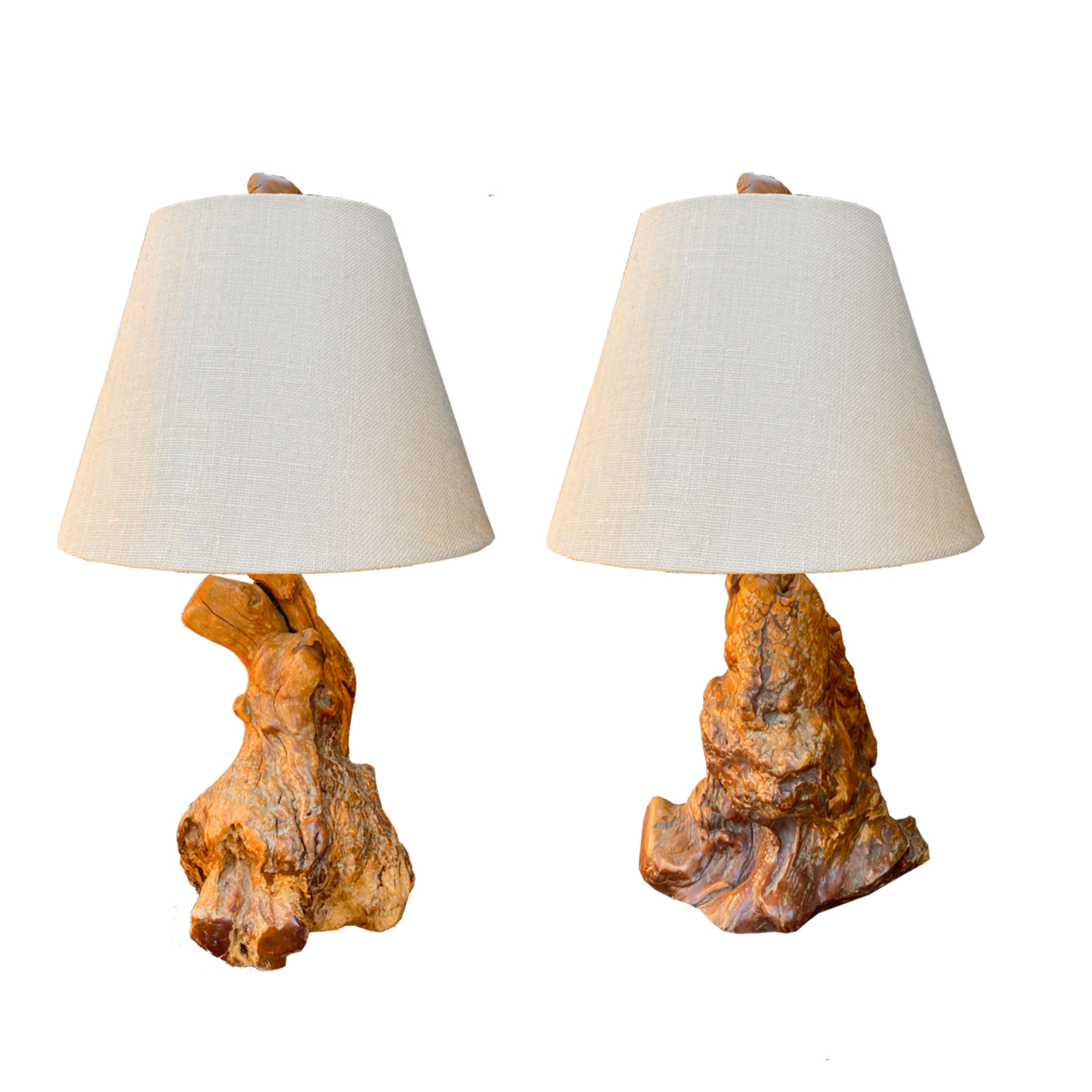 burl wood lamp